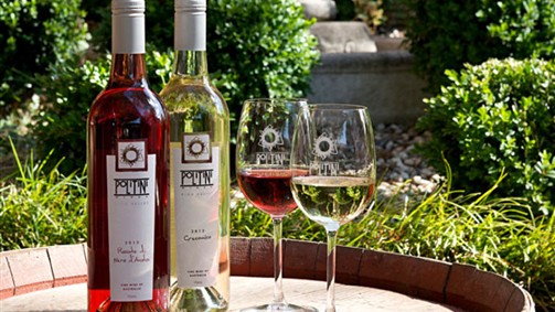 VVLand__9322106_TVIC_politini